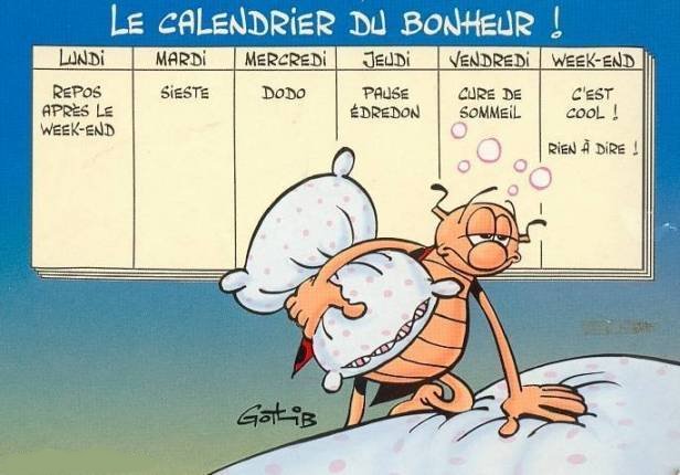 Calendrier national fin d’année