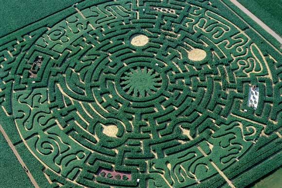 Labyrinthics : vidéo 2nde E