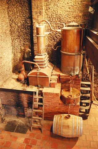 Visite au Domaine d’Ognoas