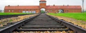 TES1/TES2/TL : voyage à Auschwitz