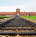 Témoignages des élèves à Auschwitz