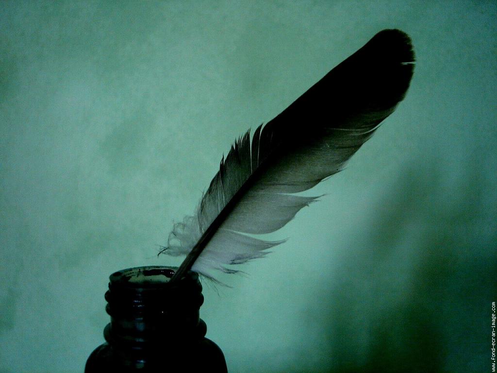 Les plumes de Duruy 2011