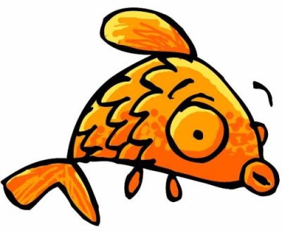 C’était un poisson d’avril !