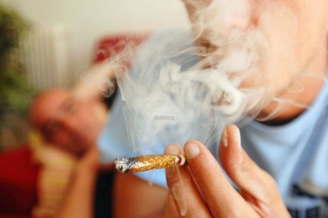 Le cannabis est une drogue dure à combattre