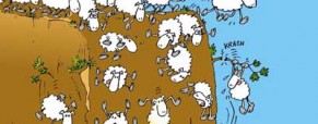 Les moutons sont de sortie !