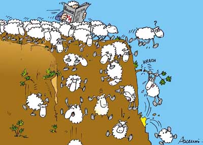 Les moutons sont de sortie !