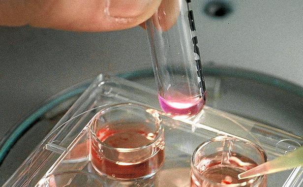 Résultats défi scientifique secondes