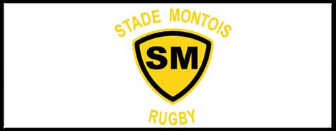 Billets Stade Montois vs Albi
