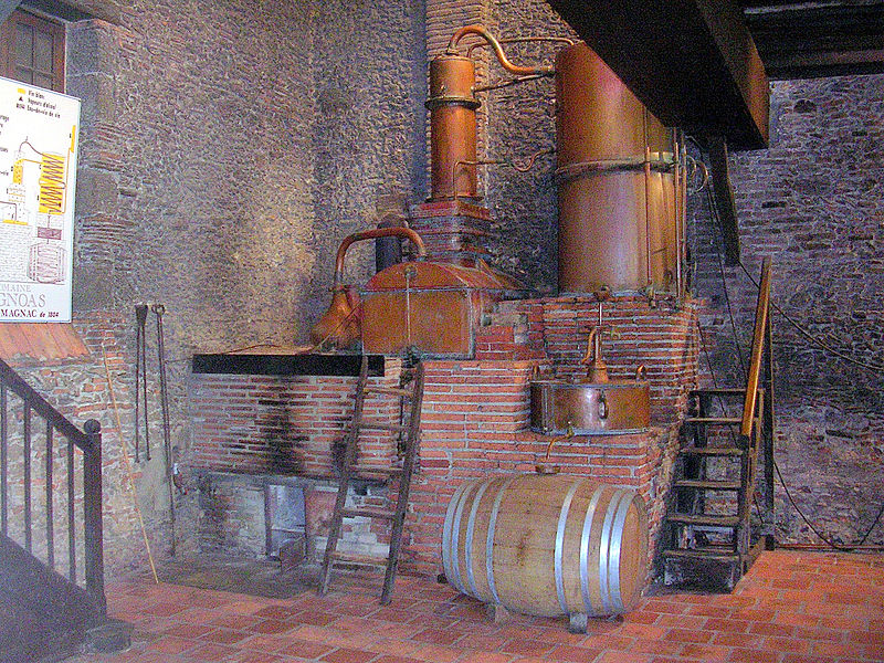 Sortie au domaine d’Ognoas