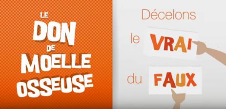 Expo don moelle osseuse
