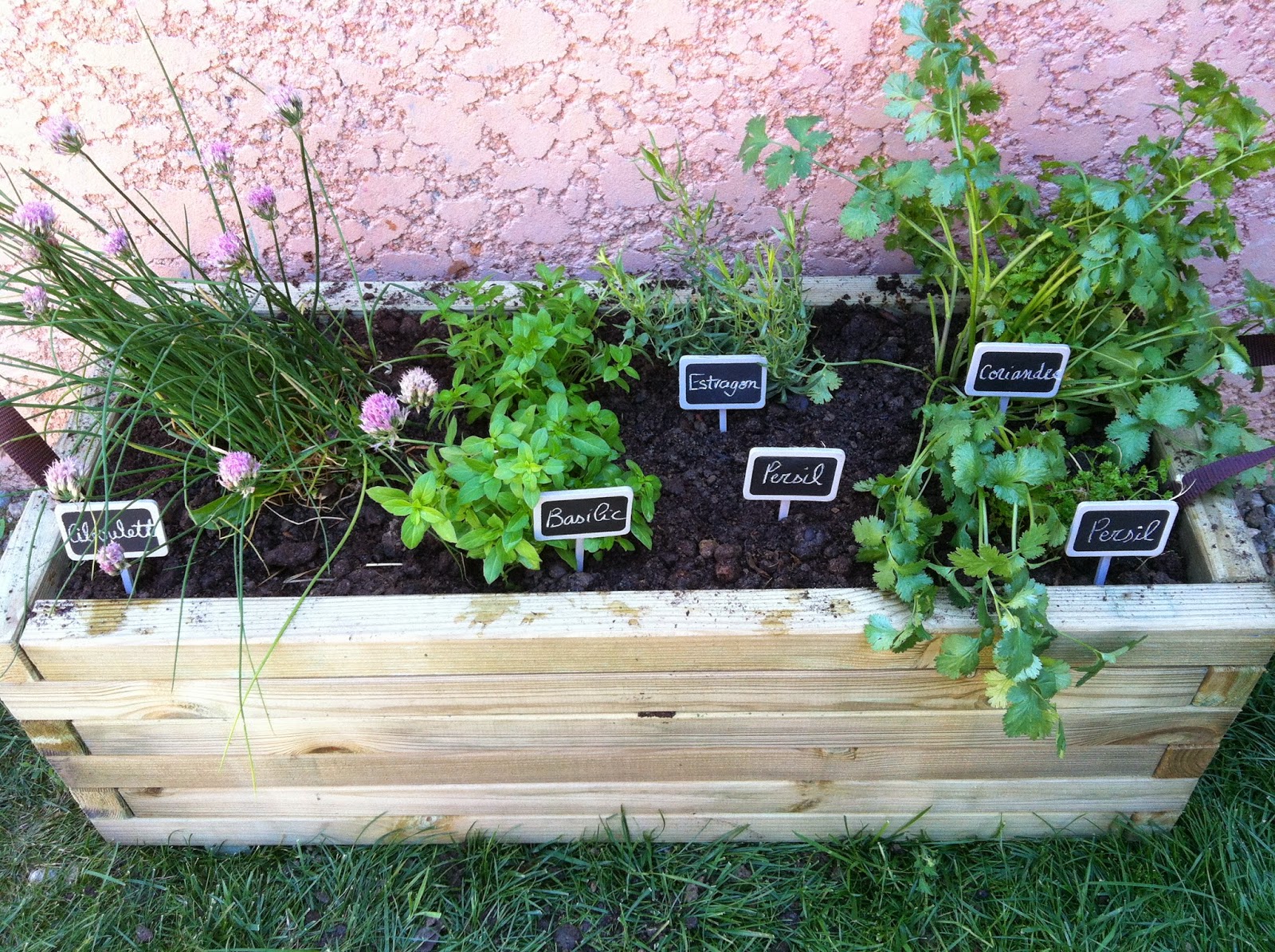 Mini potager STI2D/STMG (projet eTwinning)