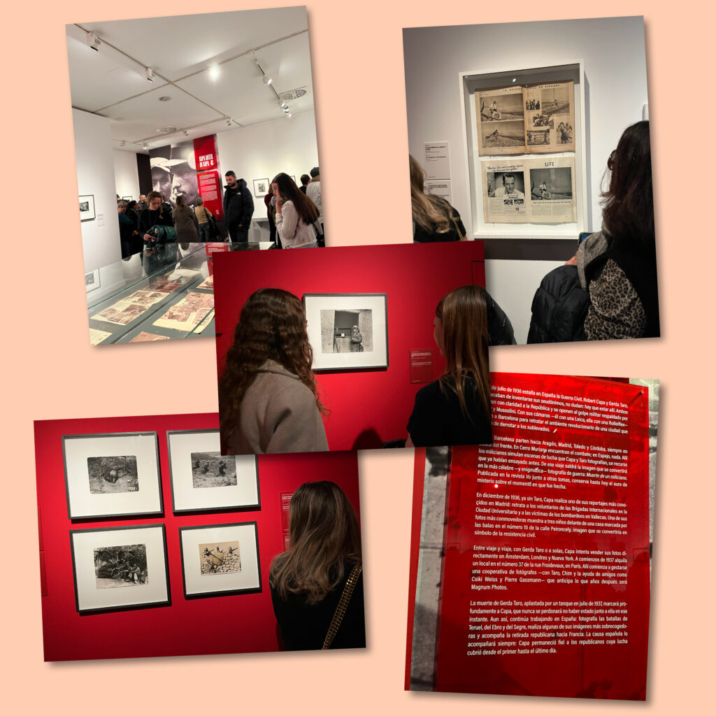 created by photogrid