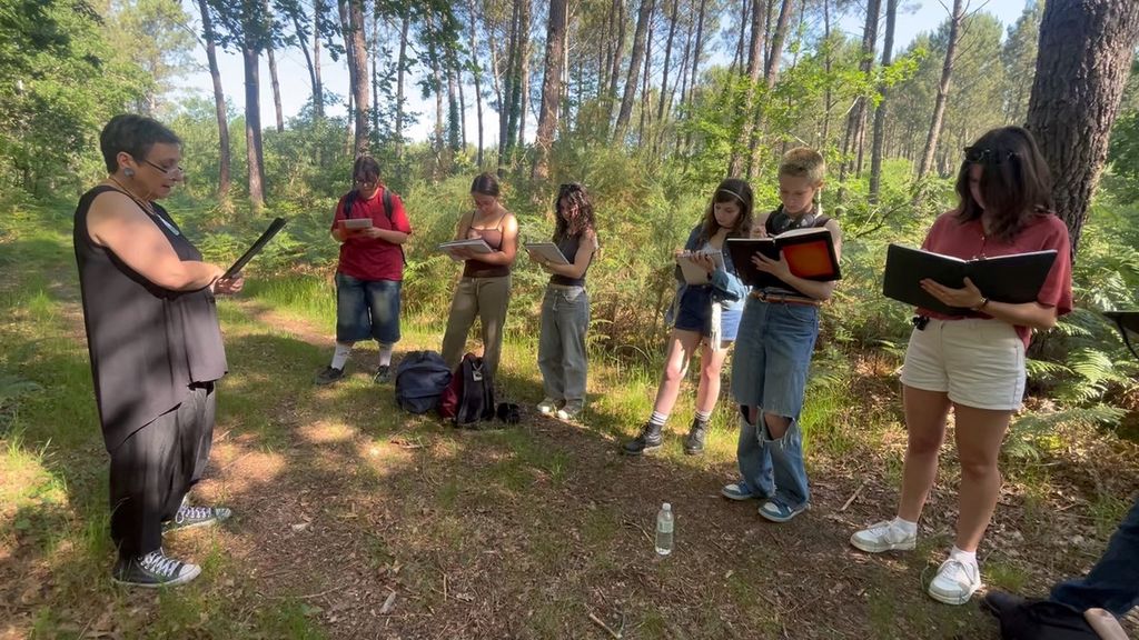 Les Arts Plas dans la forêt