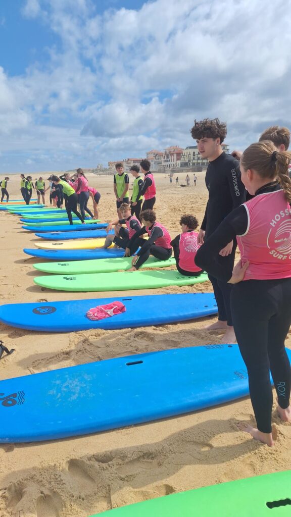 surf 1