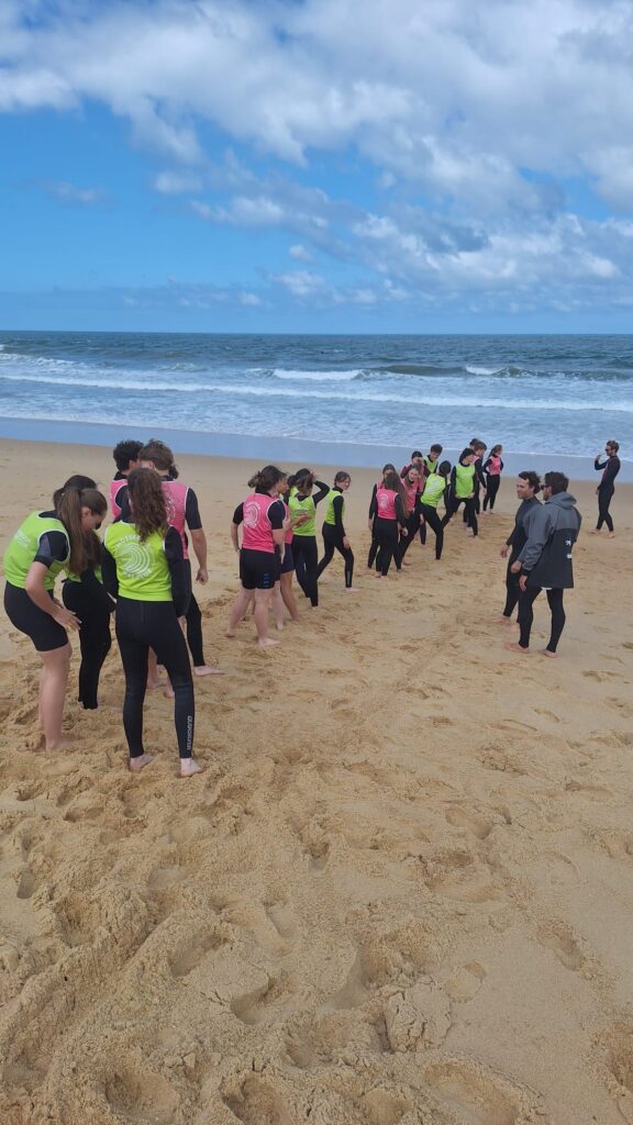 surf 2
