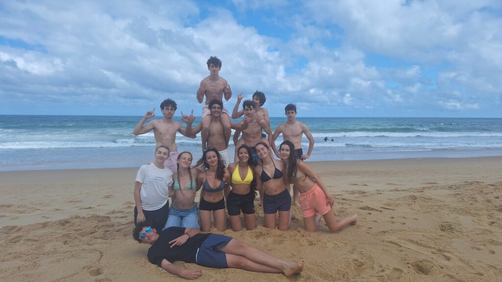 surf 3